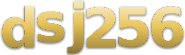 dsj256 logo